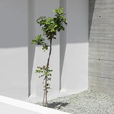 Agora 302 *